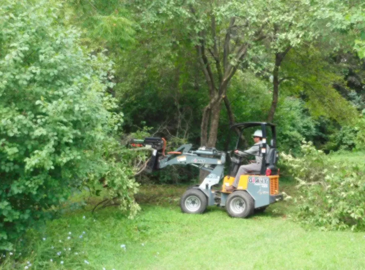 A small tractor with a worker trimming bushes in a green, wooded area.