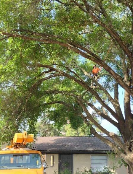 A large house with a boat docked in front of it
