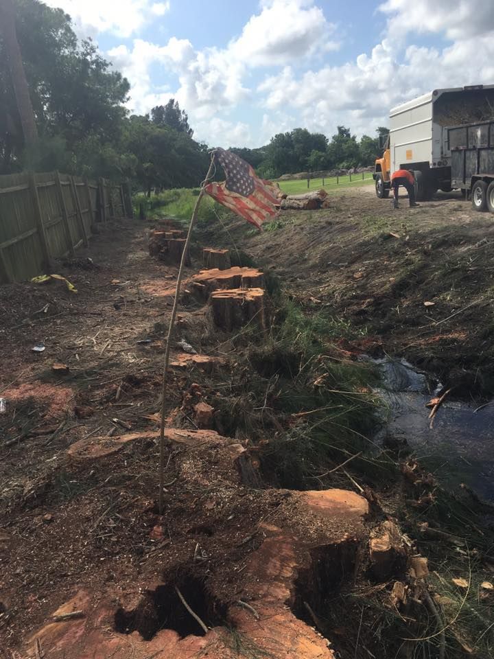 A flag is flying in the middle of a dirt field next to a truck.