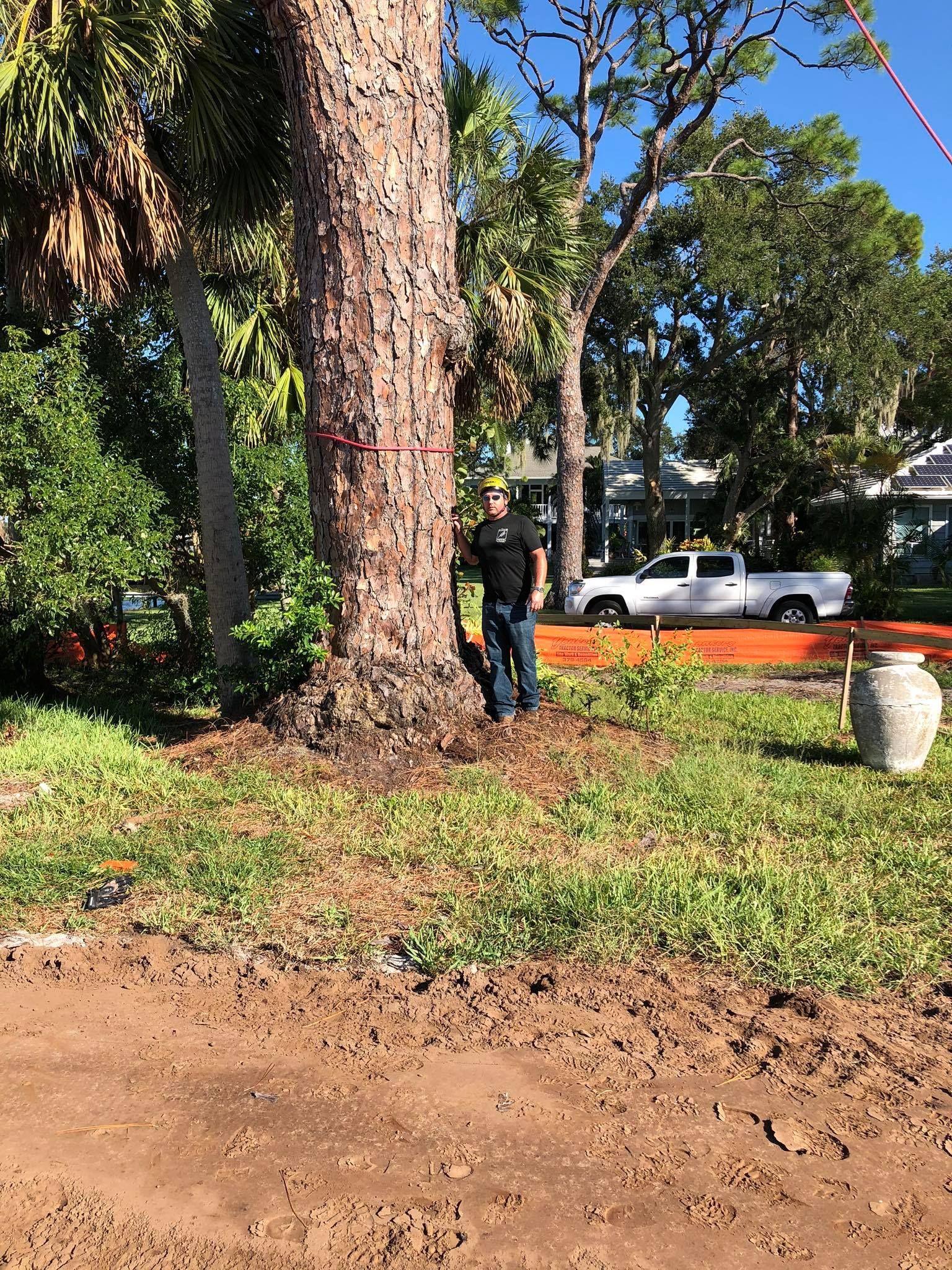 A man is standing next to a large tree in a yard.
