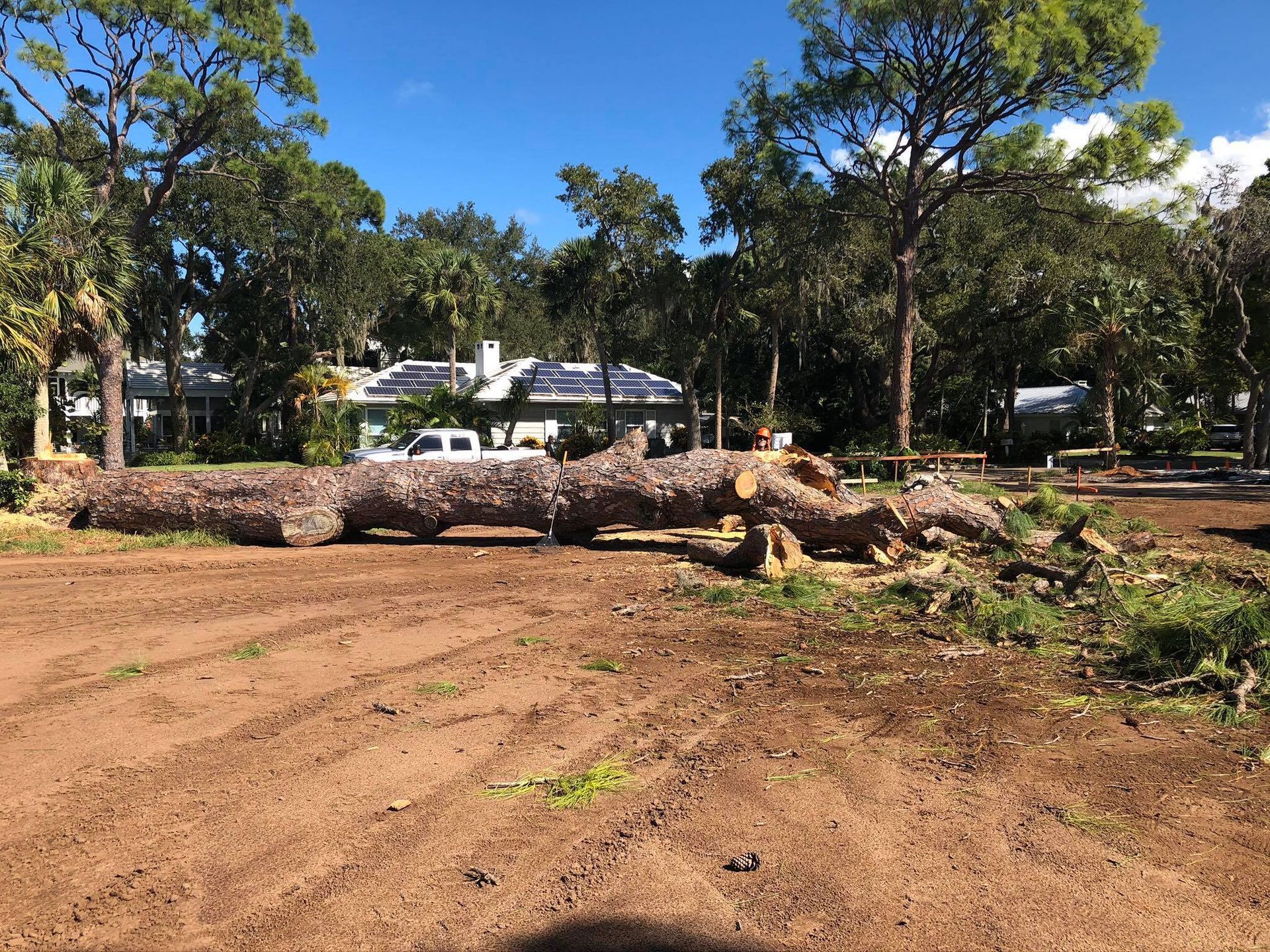 A large log is sitting in a dirt field in front of a house.