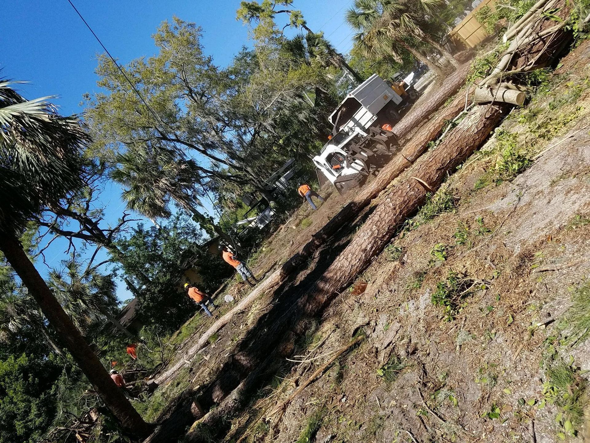 A truck is driving down a dirt road next to a tree.