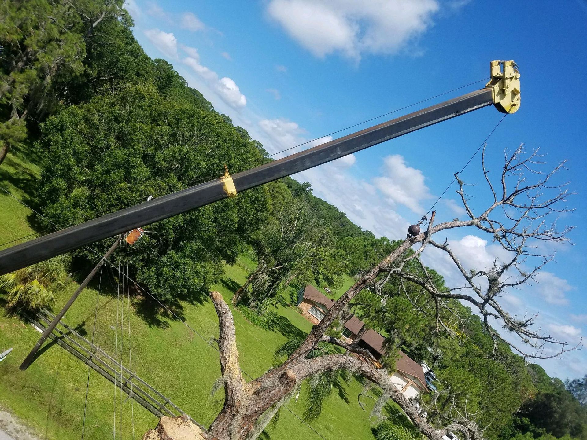 A tree is being cut down by a crane in a field.