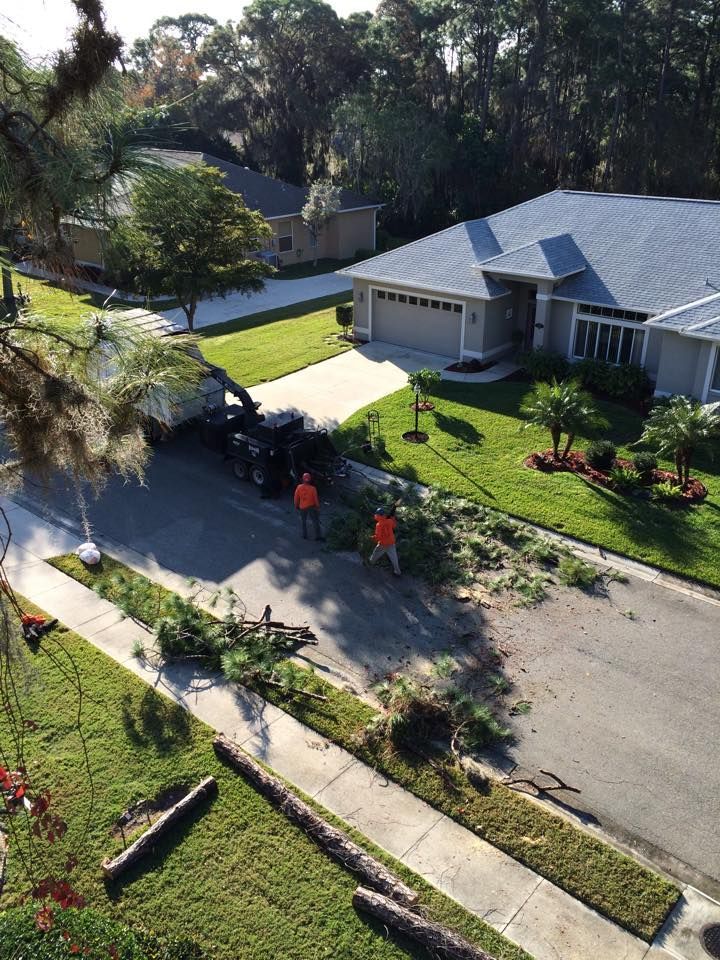 An aerial view of a tree being cut down in front of a house.