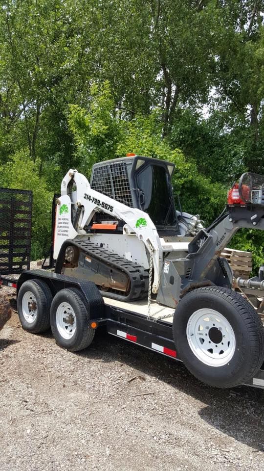 A bobcat is sitting on top of a trailer.