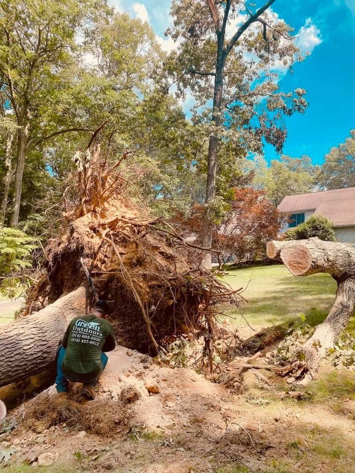 A man is kneeling next to a fallen tree in a yard.