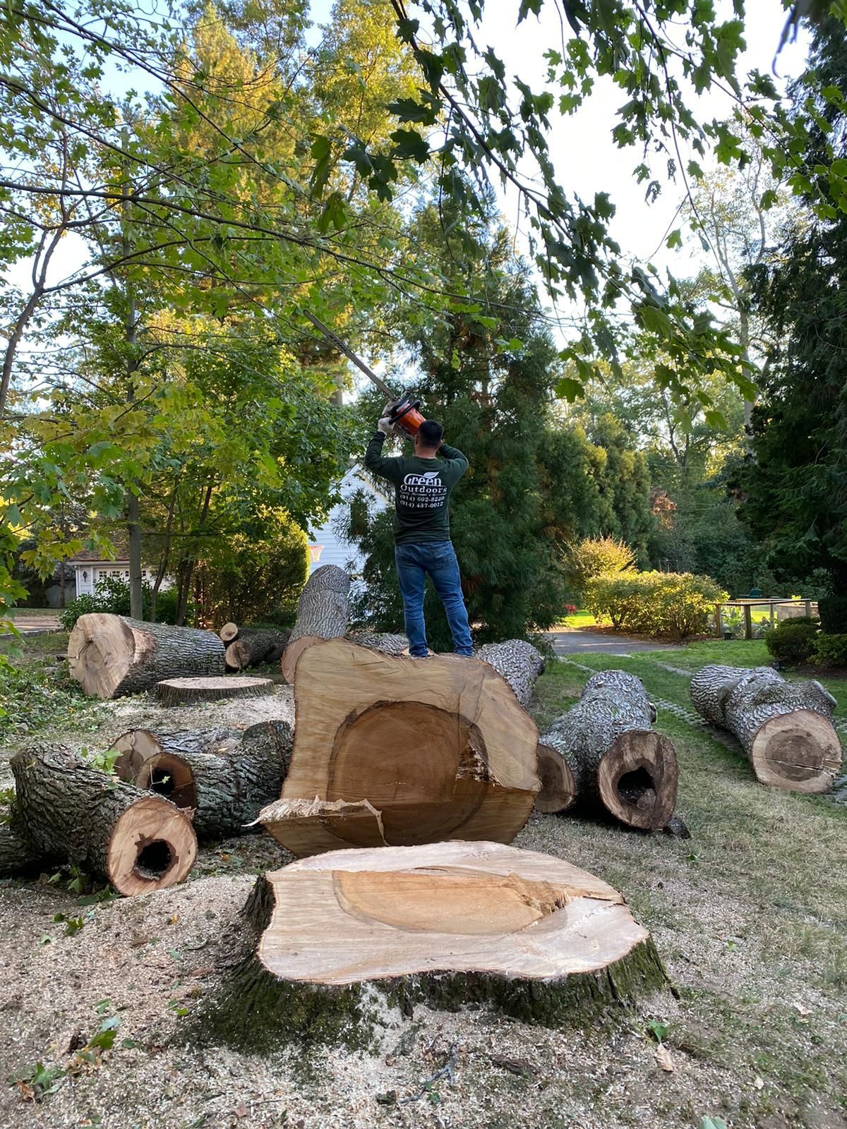 A man is cutting a tree stump with a chainsaw.