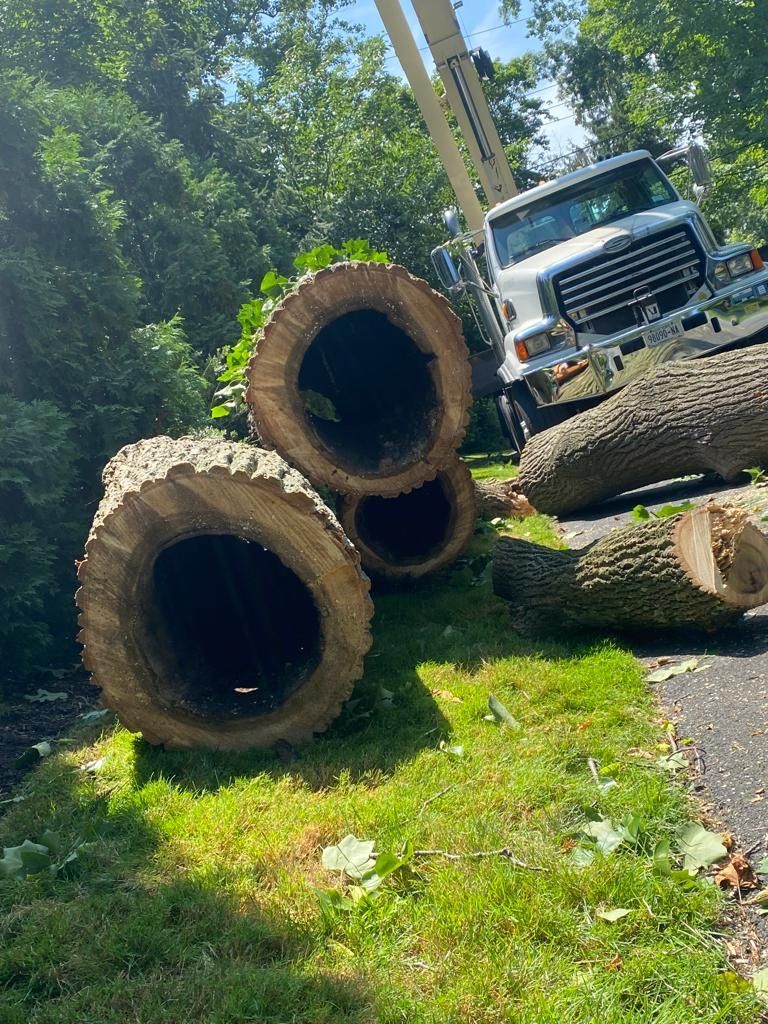 A truck is sitting on top of a pile of tree trunks.