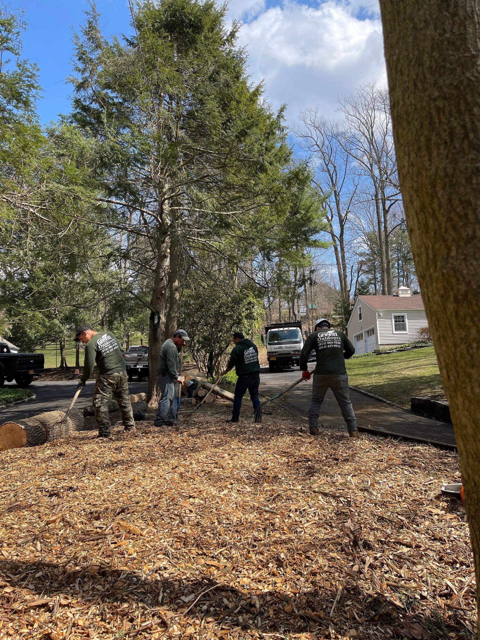 A group of people are standing in a yard covered in leaves.