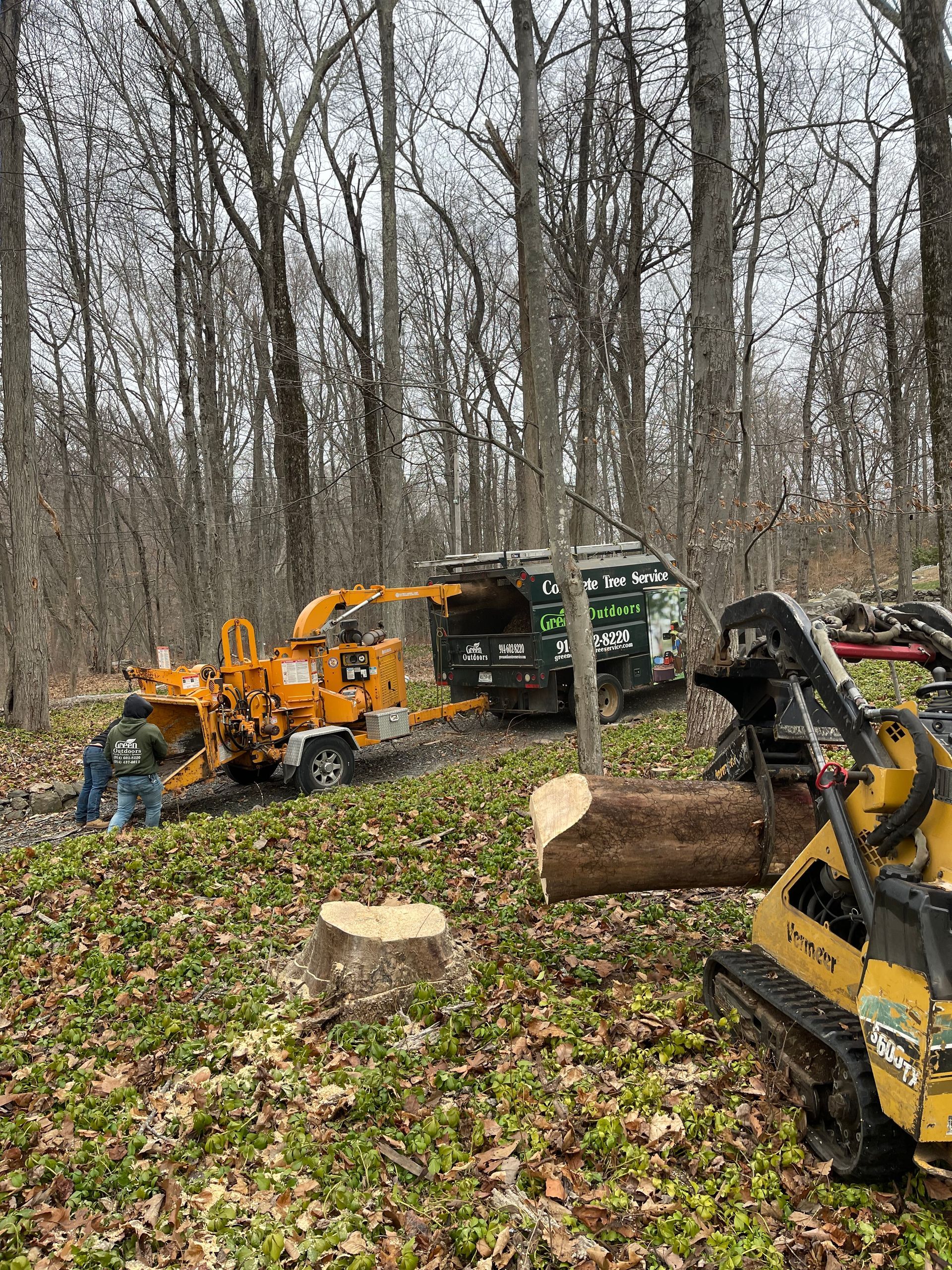 A stump grinder is being used to remove a tree stump in the woods.