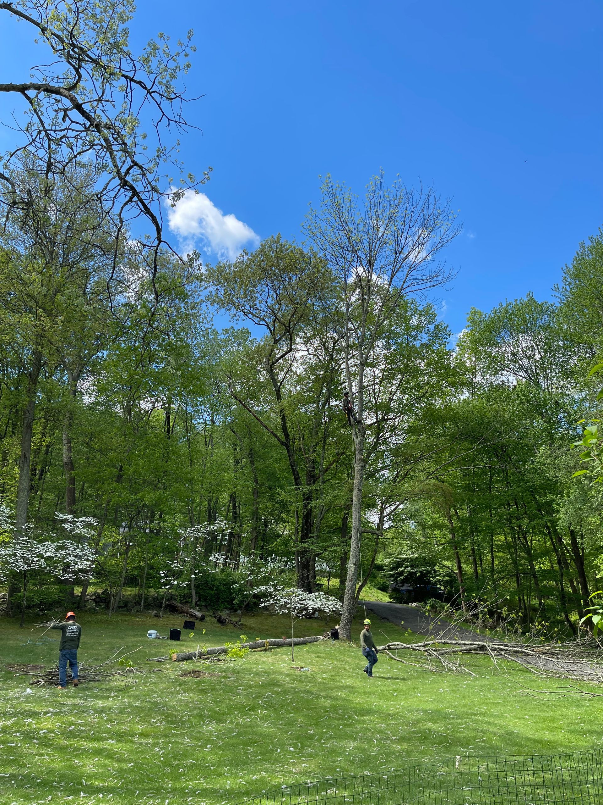 A group of people are standing in a grassy field with trees in the background.