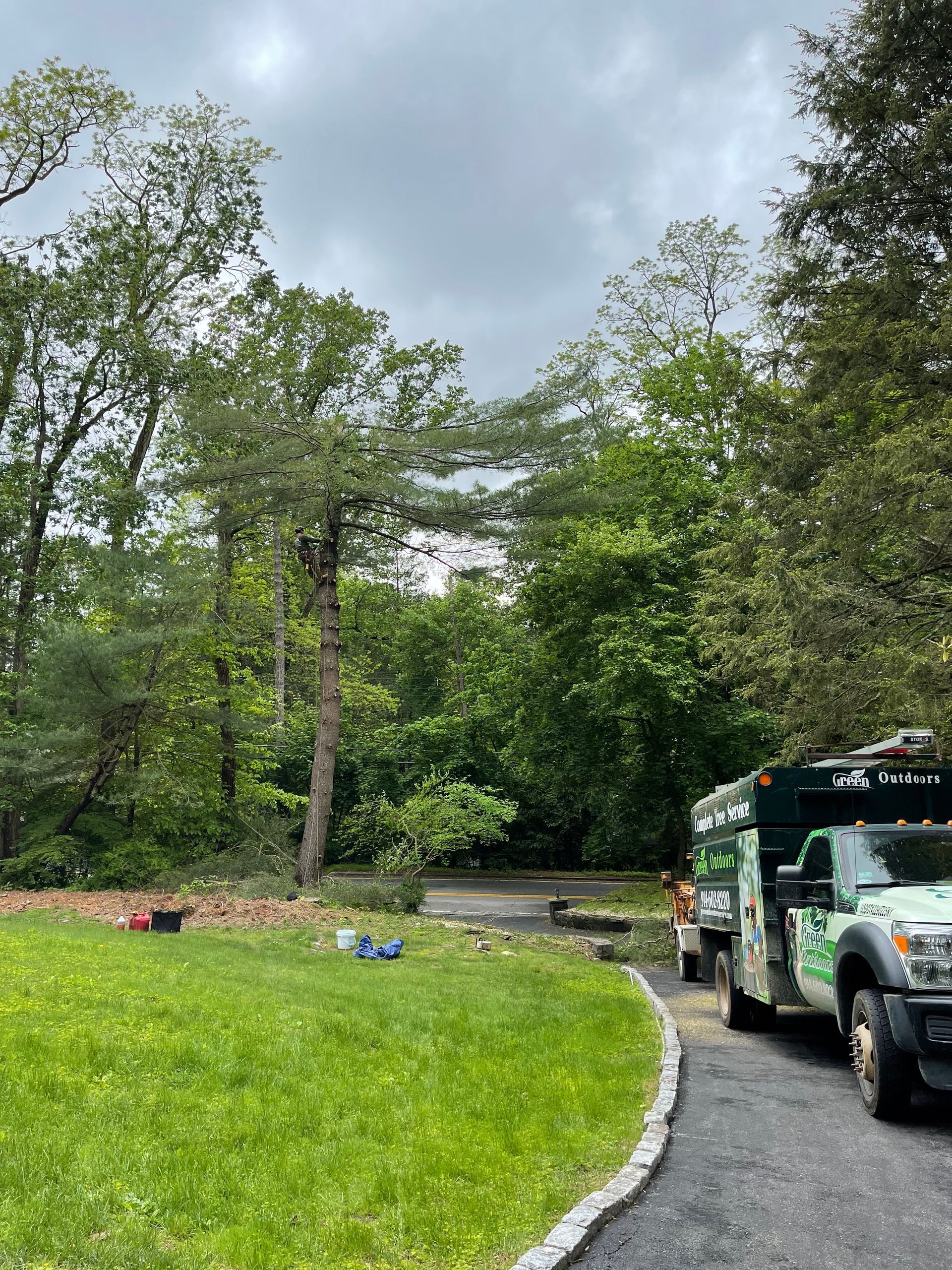 A truck is parked on the side of a road next to a lush green field.
