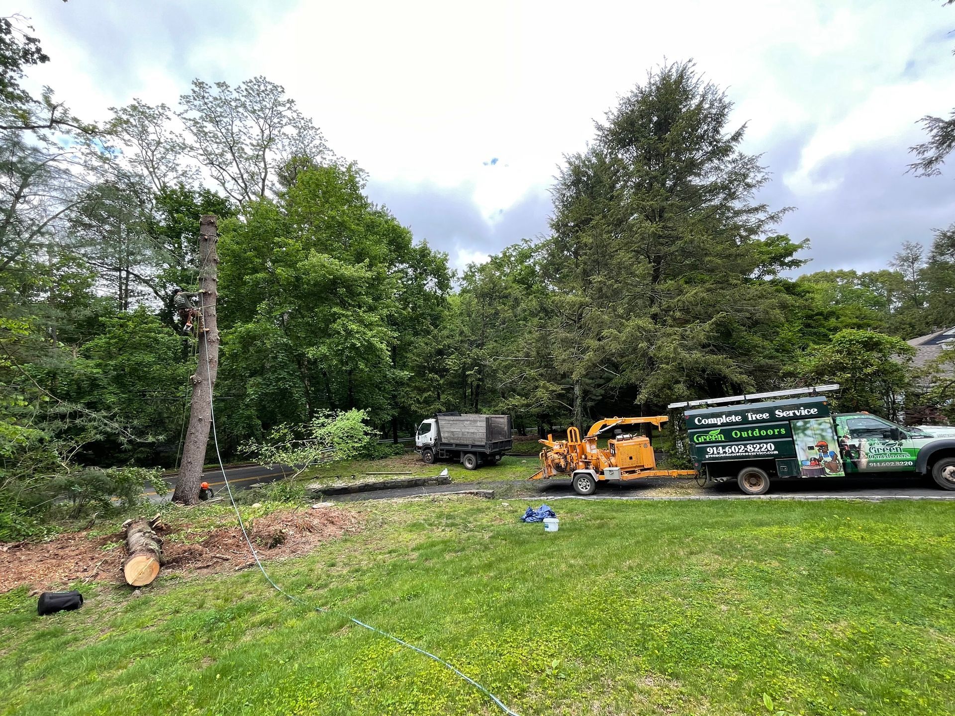 A truck is parked in a grassy yard next to a tree stump.