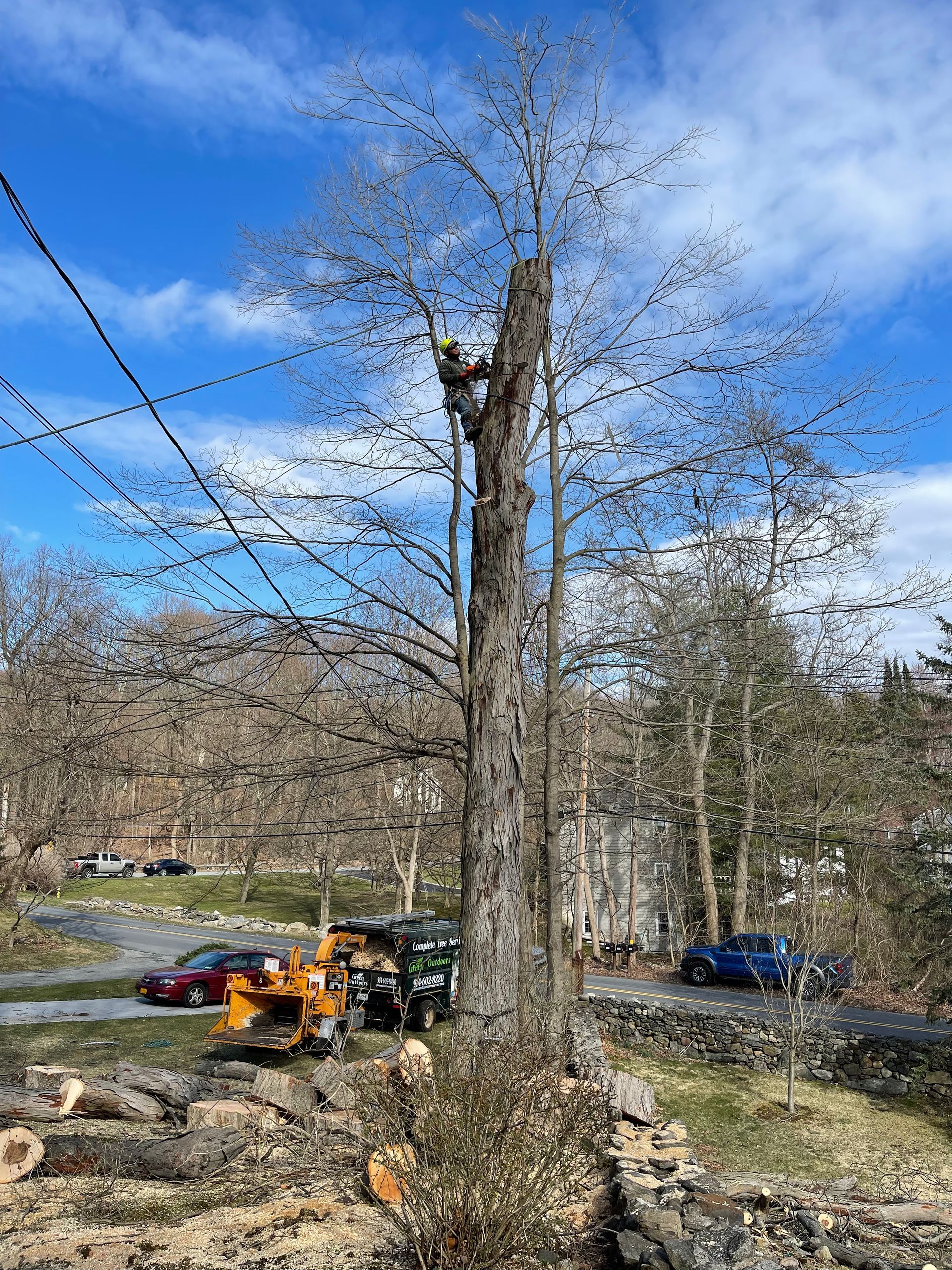 A man is climbing a tree with a chainsaw.