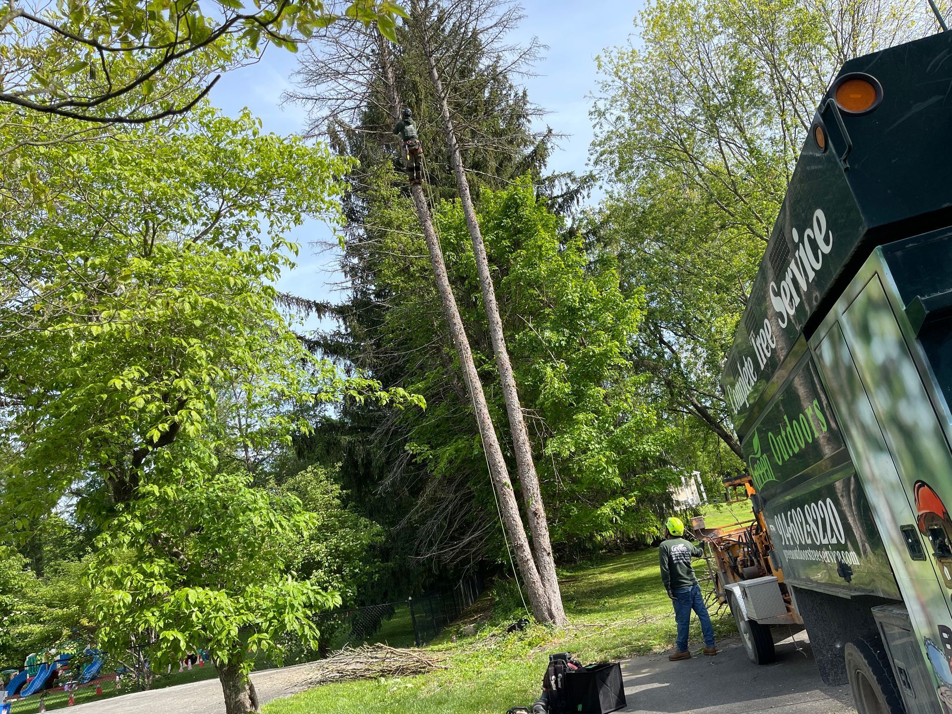 A man is standing next to a truck in front of a tree.