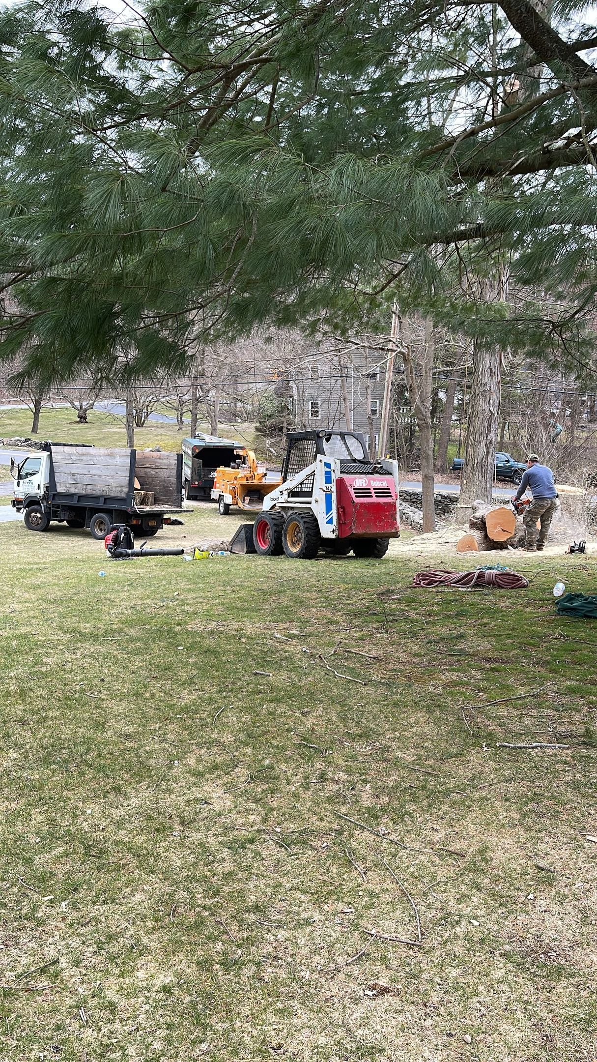 A group of people are working on a tree stump in a park.