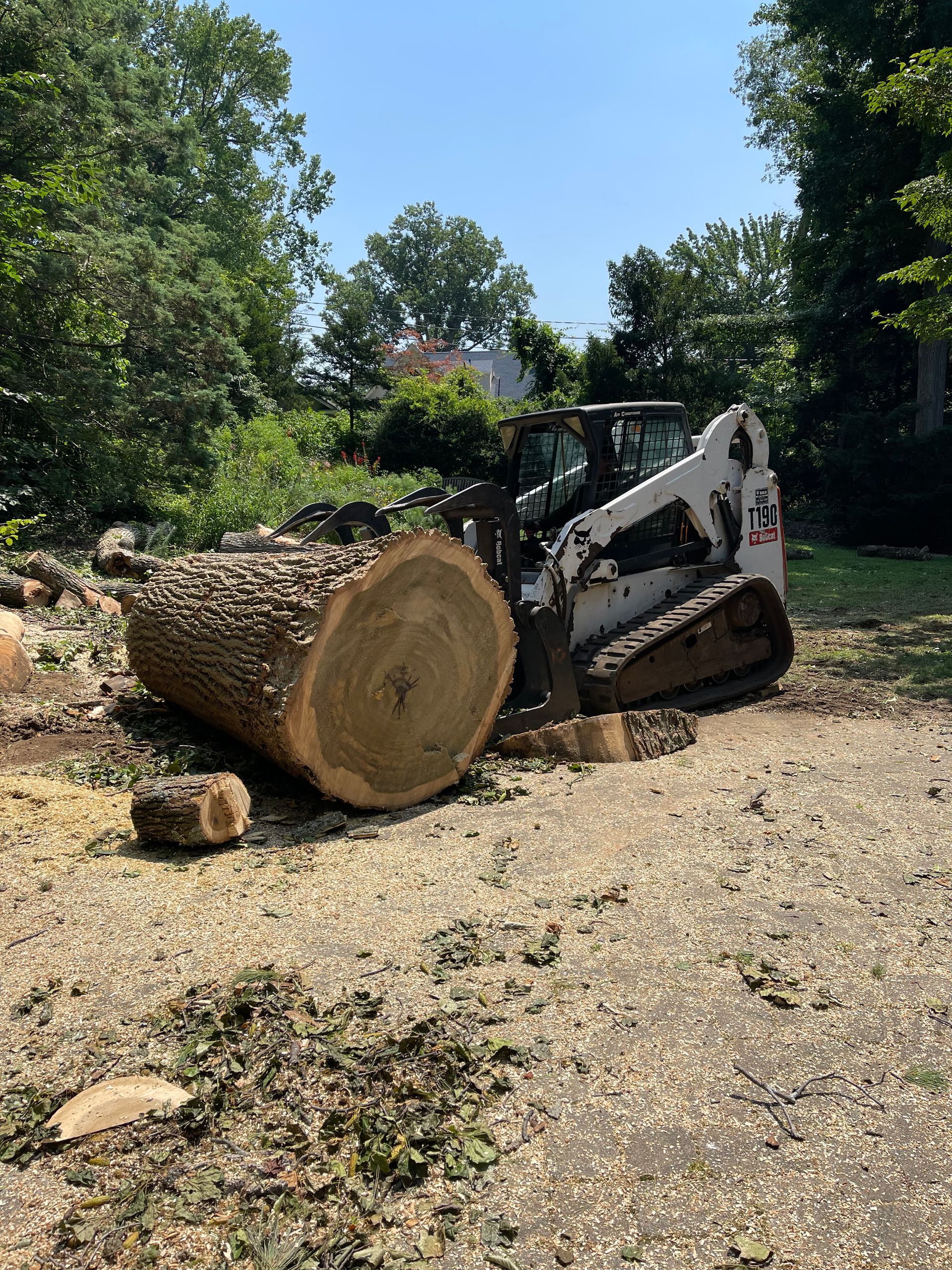 A bulldozer is cutting down a tree in a yard.