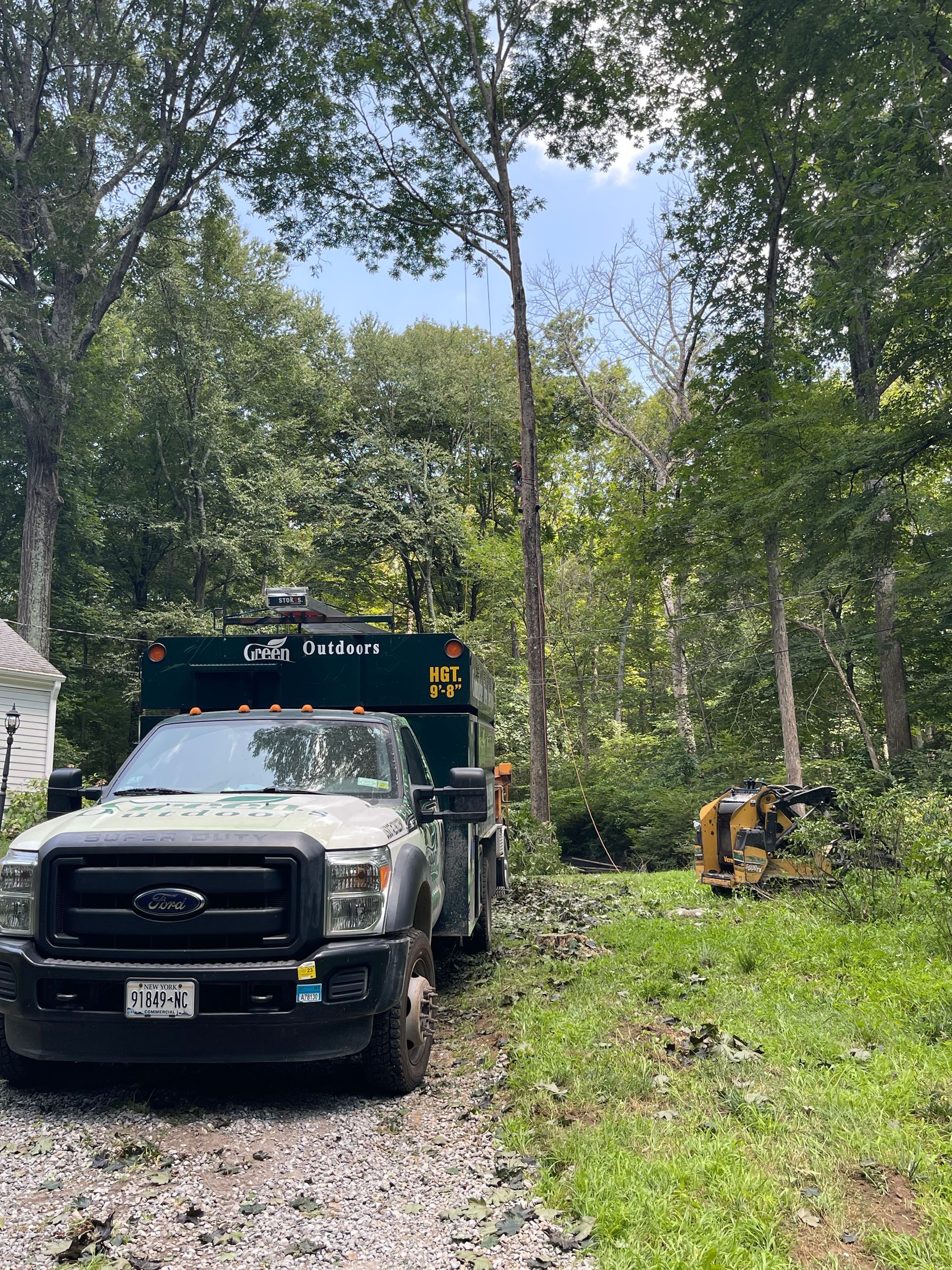 A truck is parked in the middle of a forest.