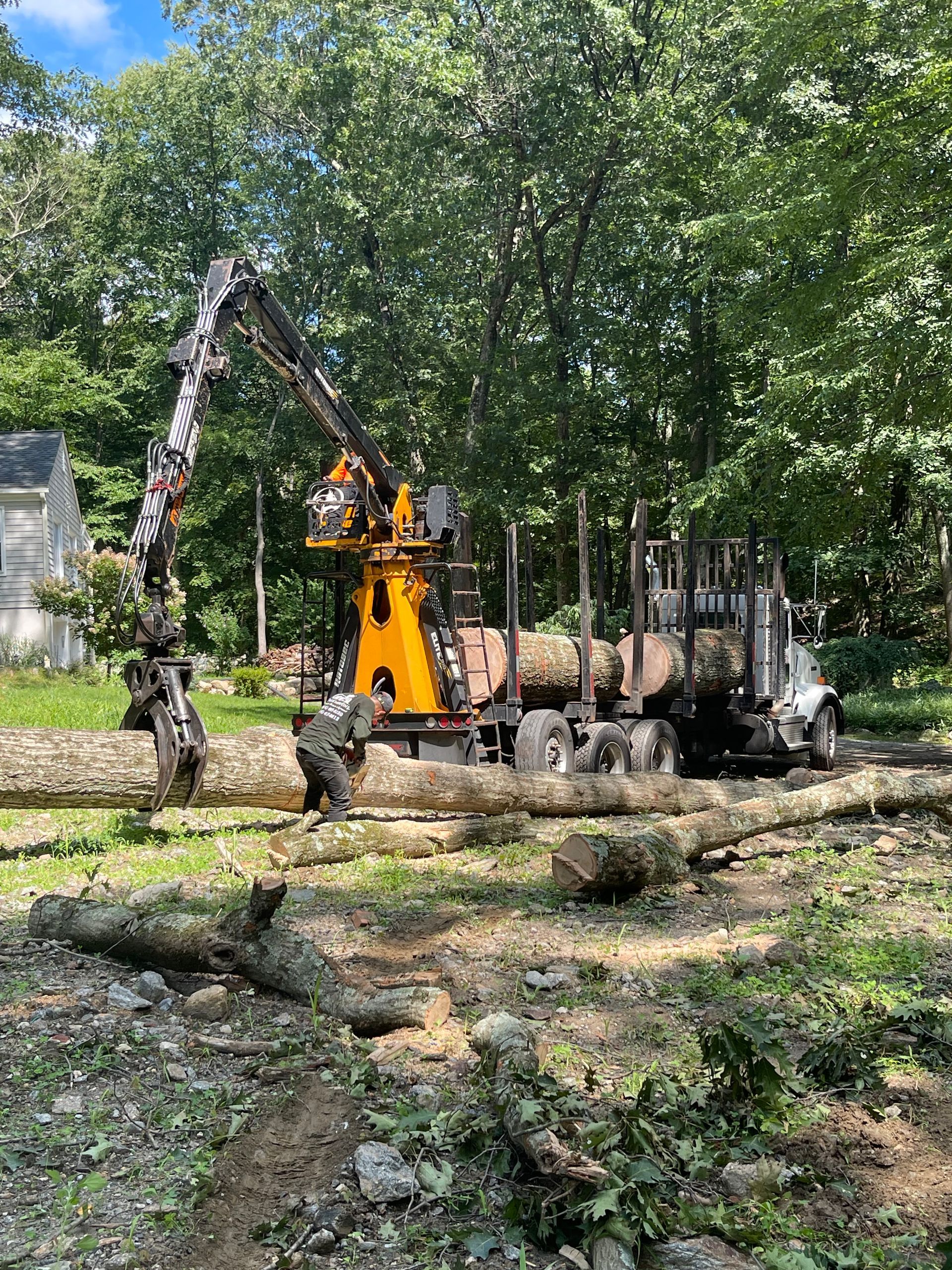 A crane is loading logs onto a truck in the woods.