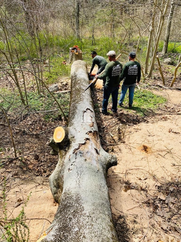 A group of men are standing around a large tree trunk in the woods.