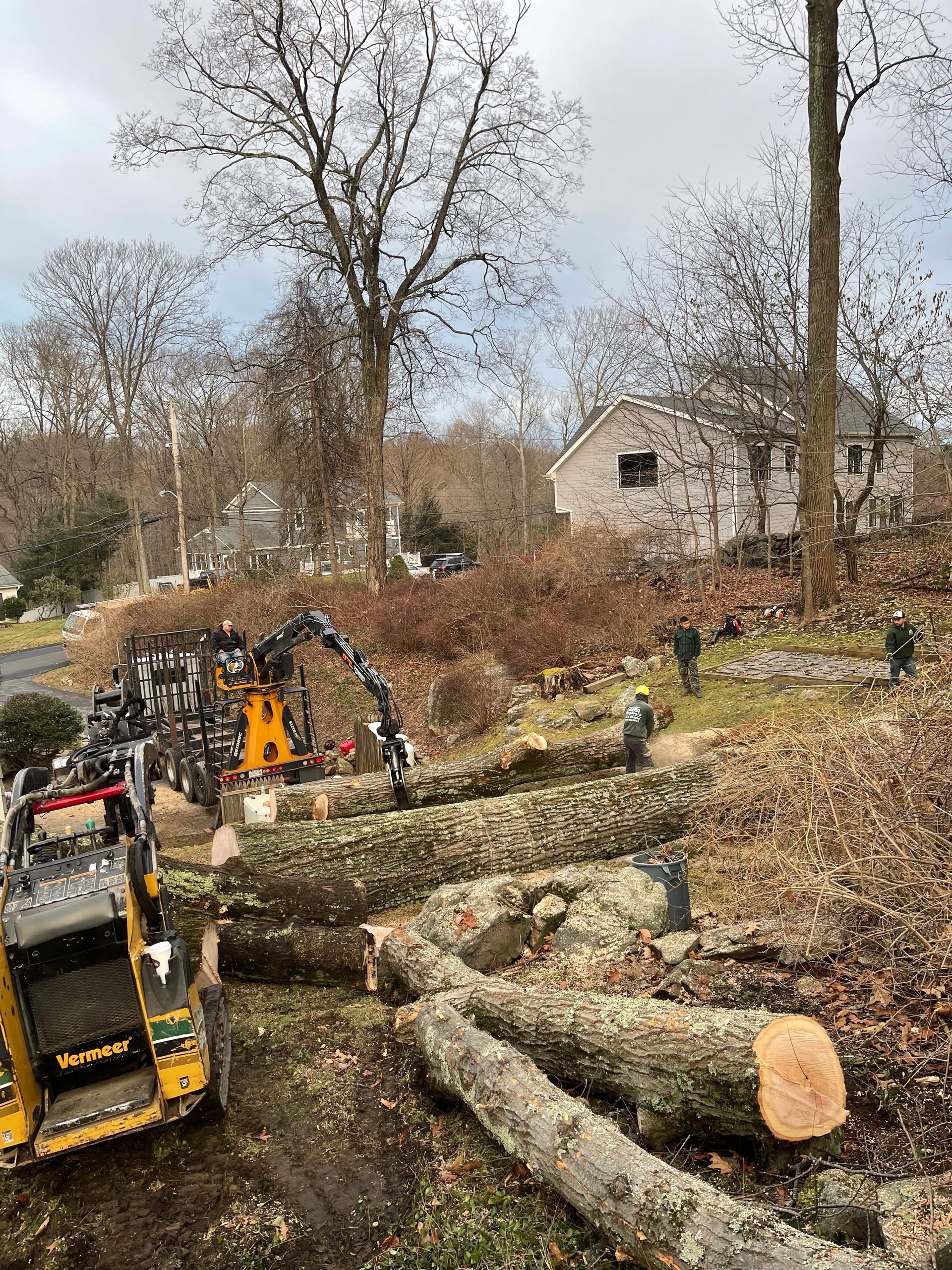 A bulldozer is cutting down a tree in a yard.