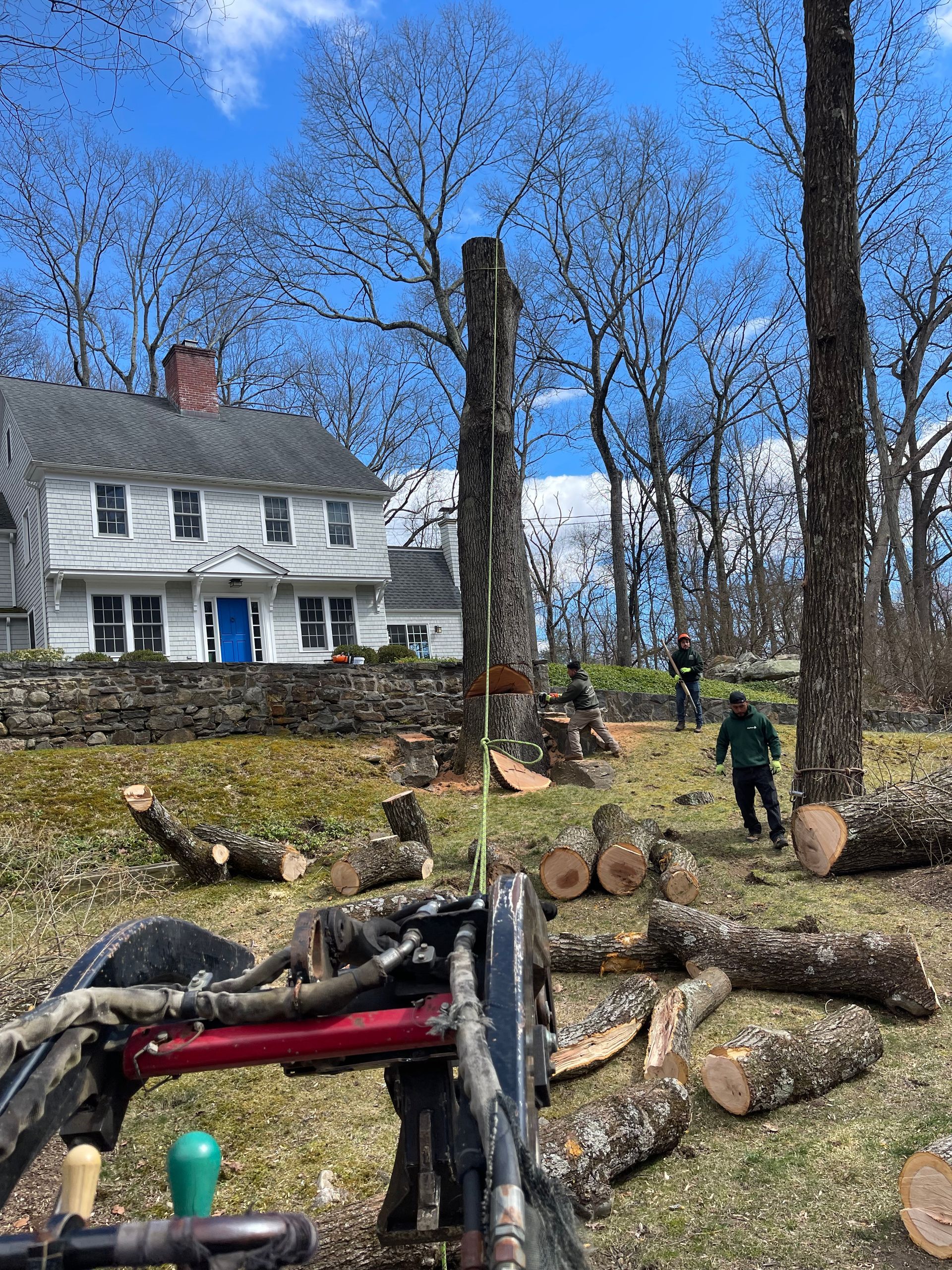 A tree is being cut down in front of a house.