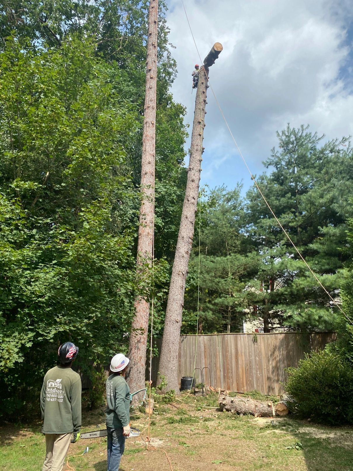 A man is standing next to a tree that is being cut down.
