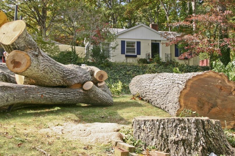 A pile of logs and stump in front of a house.