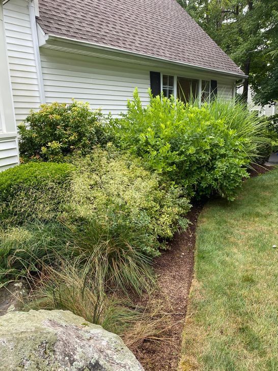 A house with a lot of bushes and shrubs in front of it.
