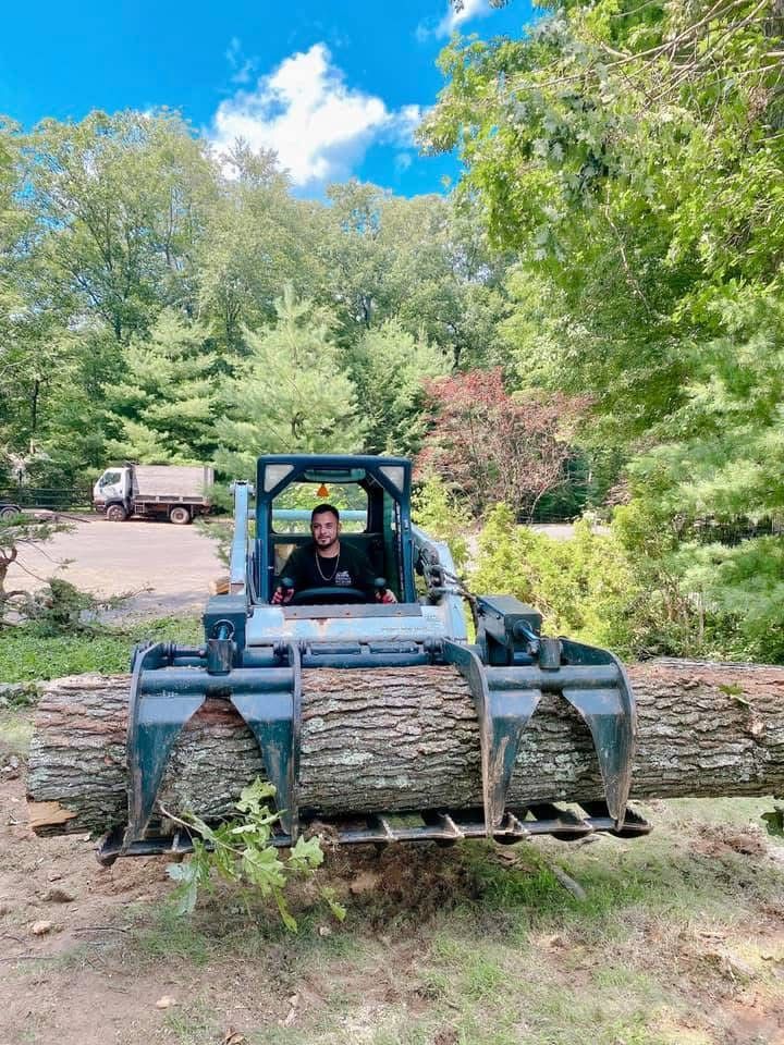 A man is driving a bulldozer next to a pile of logs.