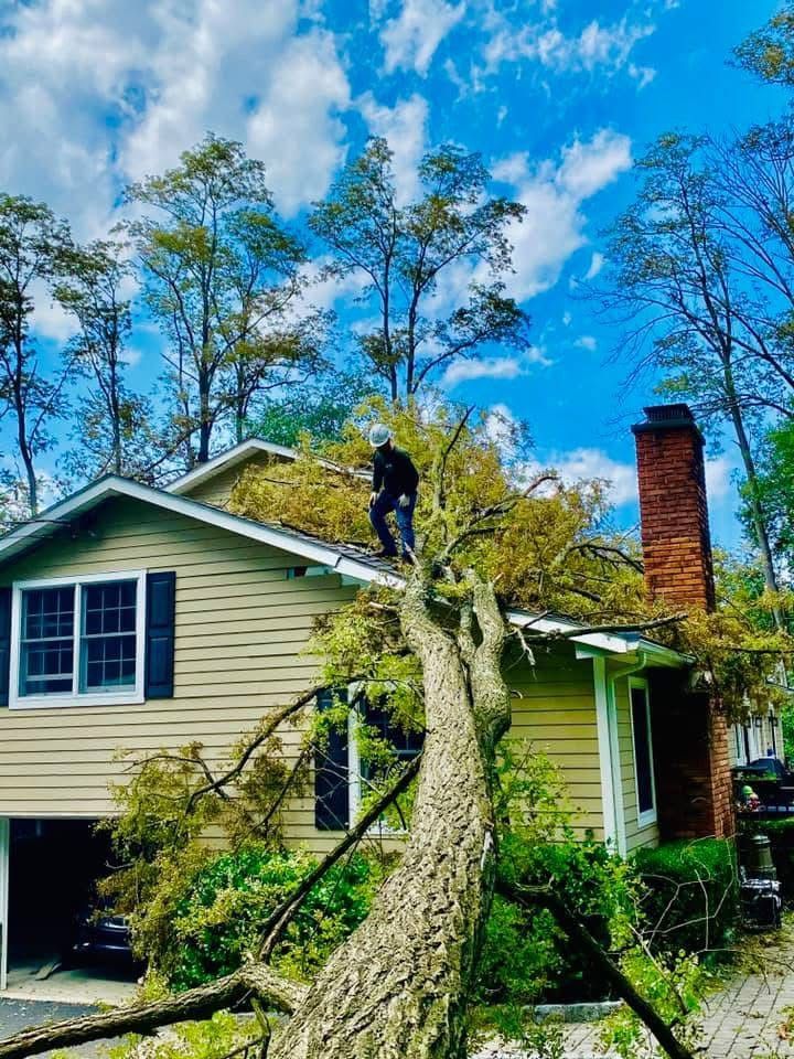 A man is sitting on top of a fallen tree in front of a house.