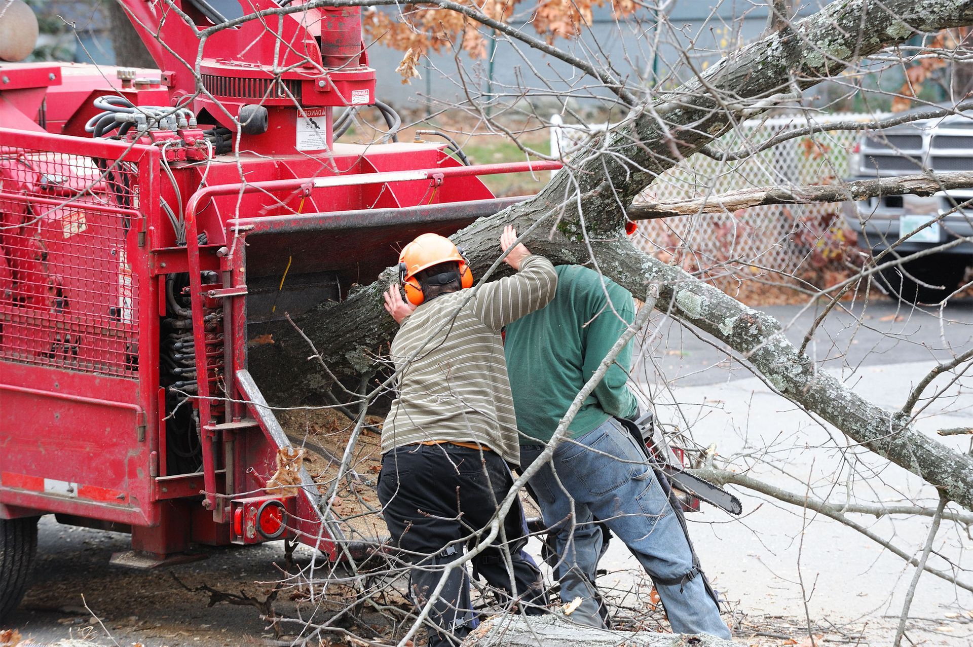 Two men are working on a tree that has fallen on the ground.