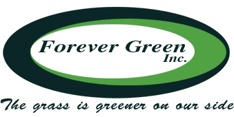 Forever Green Inc - Logo