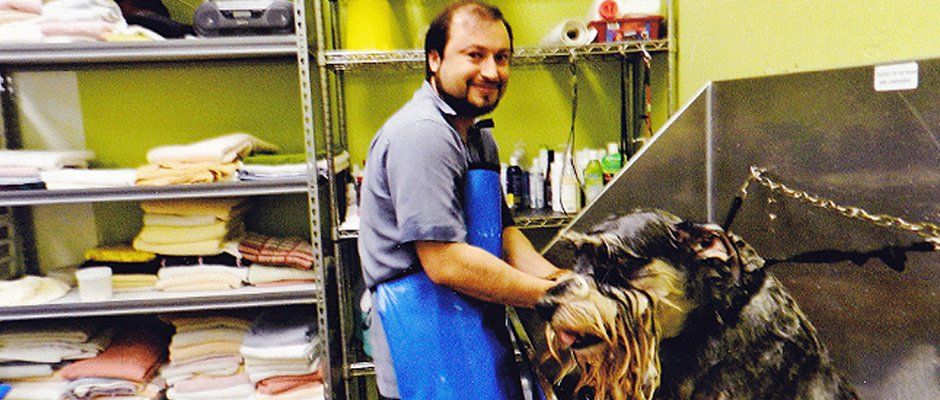 Man inside the shop bathing a dog
