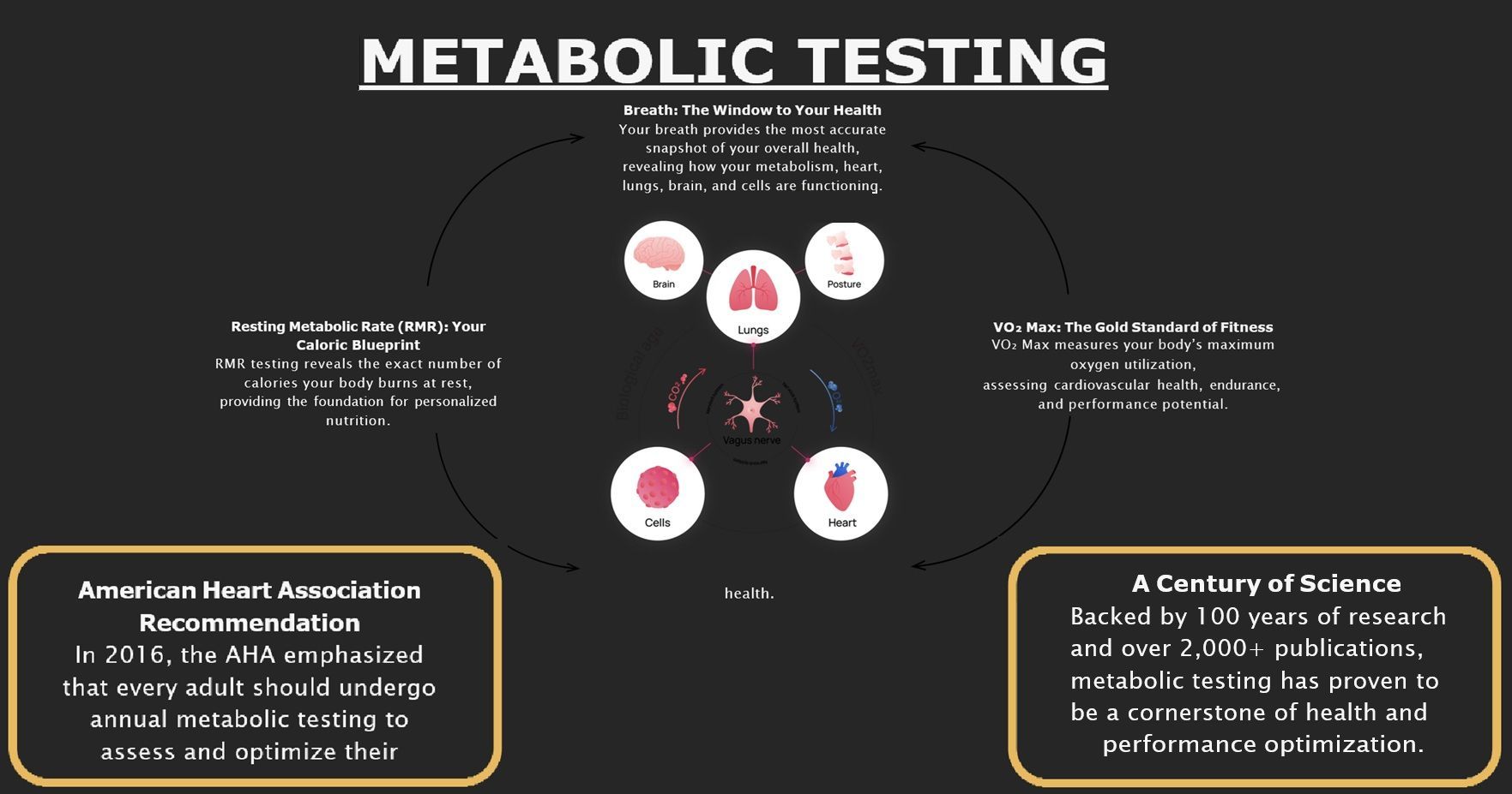 Diagram on metabolic testing with organ illustrations and text regarding recommendations and history.