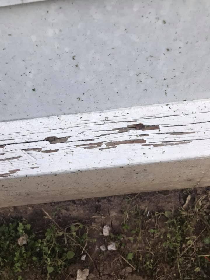 A close up of a white wooden fence with peeling paint.