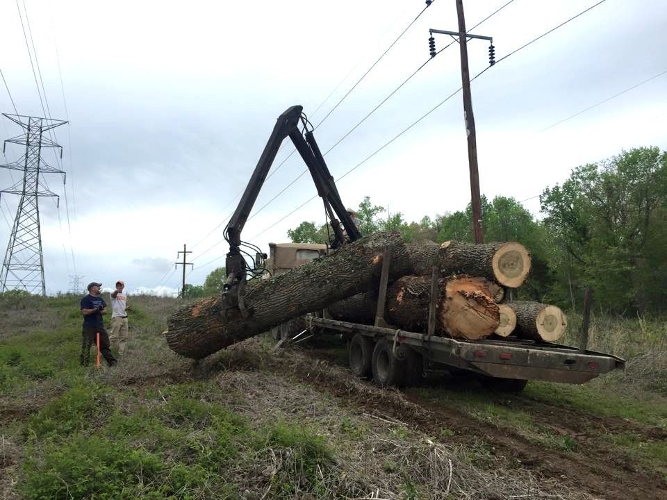 a truck is carrying a pile of logs on the back of it
