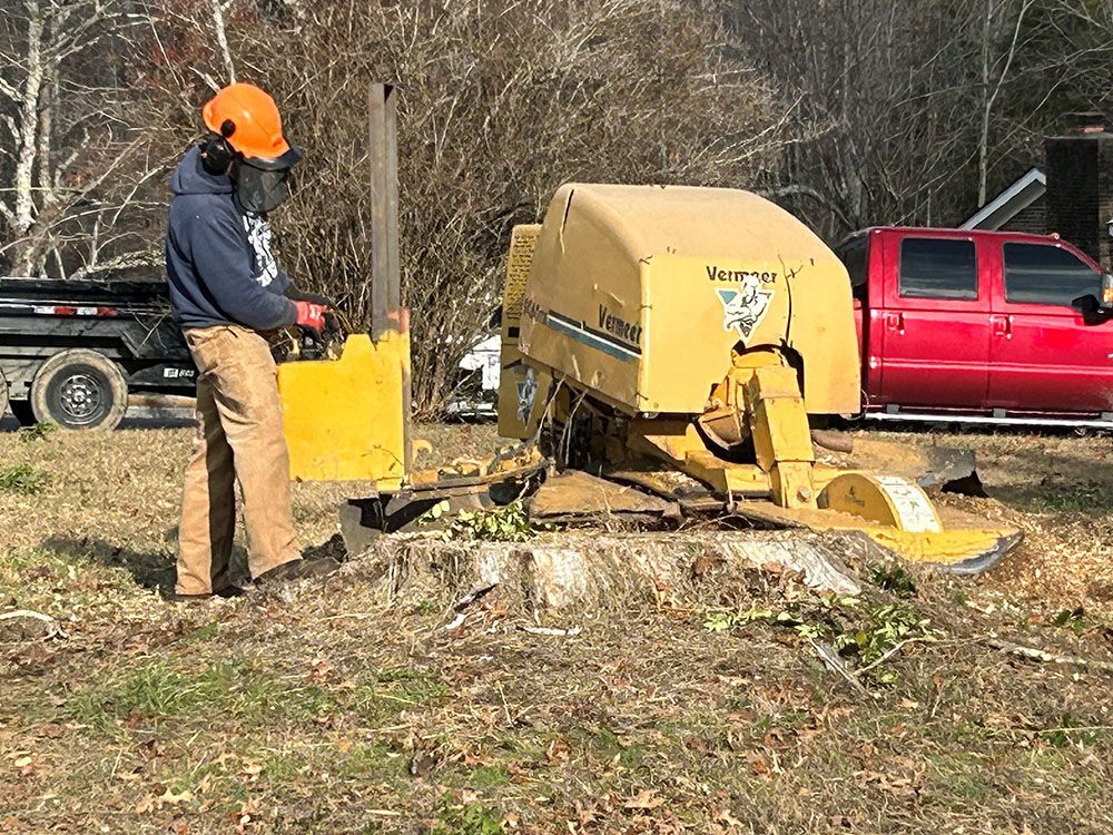 A man operating a tree stump cutter to remove a tree.