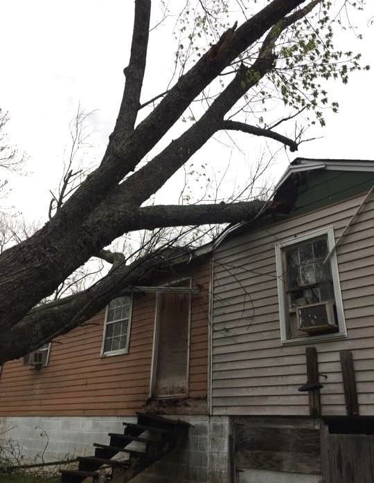 a tree has fallen on the side of a house