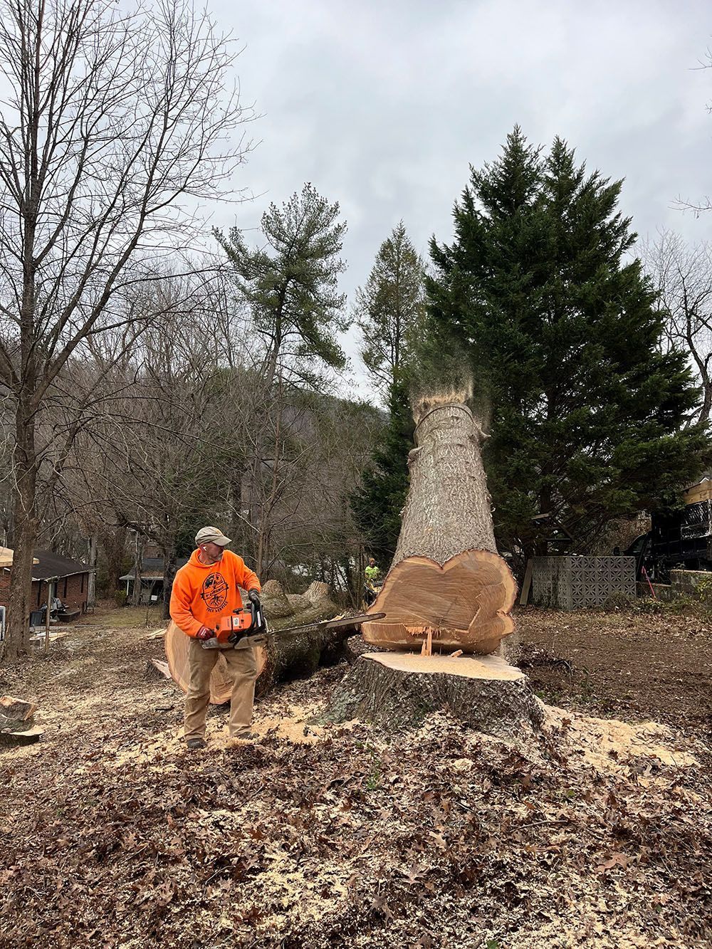 A man in an orange shirt uses a saw to cut down a tree.