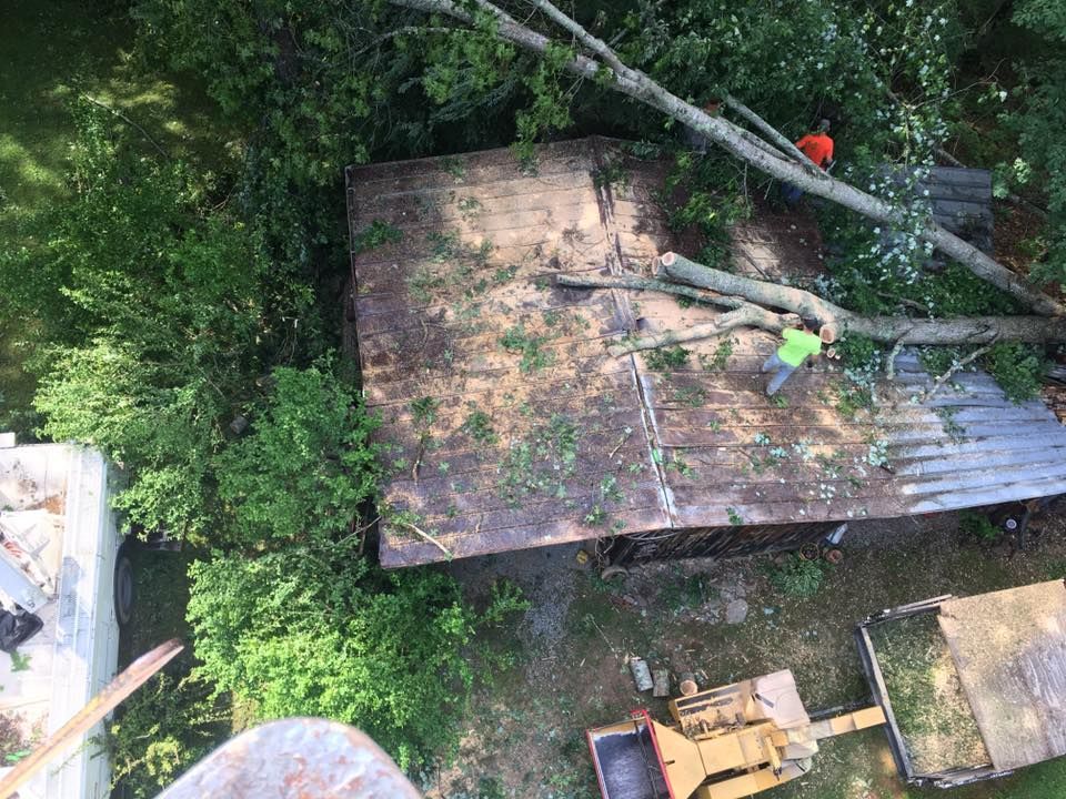 an aerial view of a house with a tree on the roof