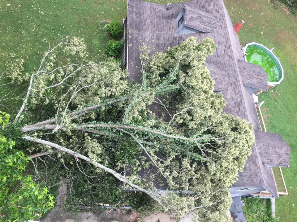 an aerial view of a tree that has fallen on top of a house