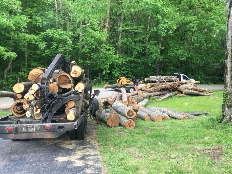a truck is carrying a pile of logs in the back of it