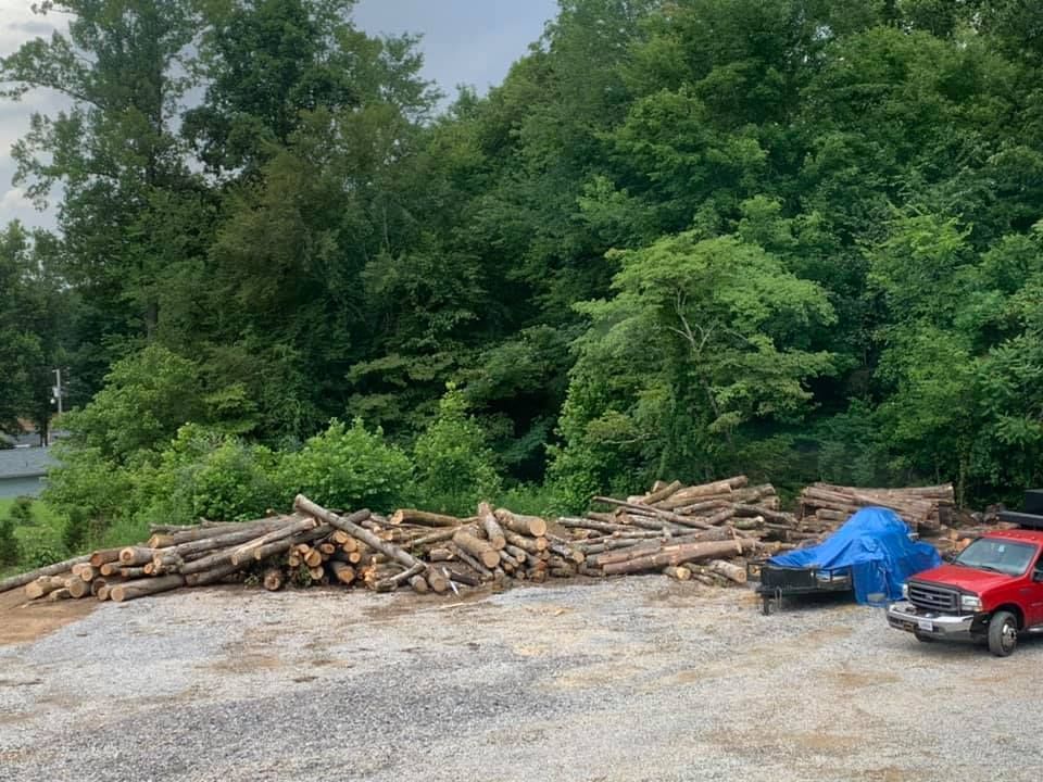 pile of logs
