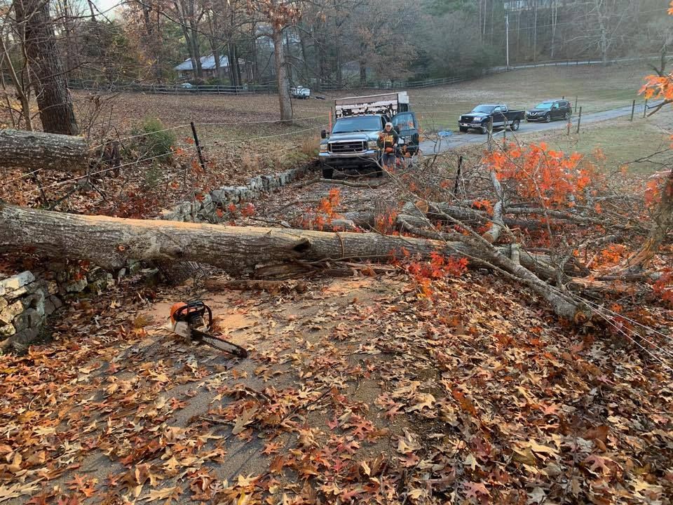 a truck is driving down a road next to a fallen tree
