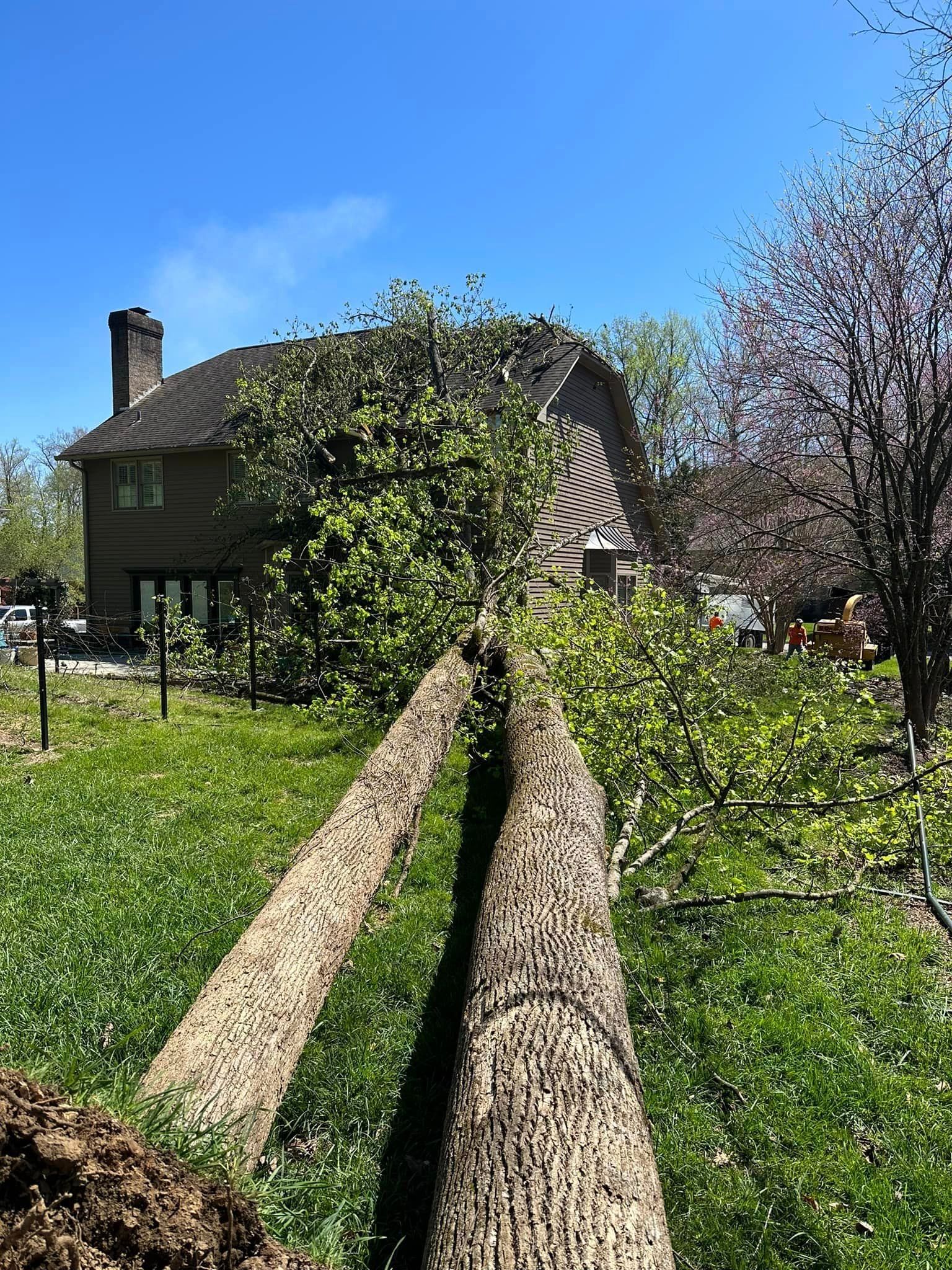 a large tree trunk is laying in the grass in front of a house