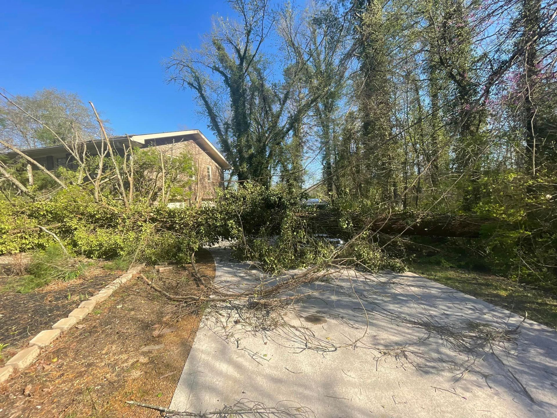 a tree has fallen on the side of a road in front of a house