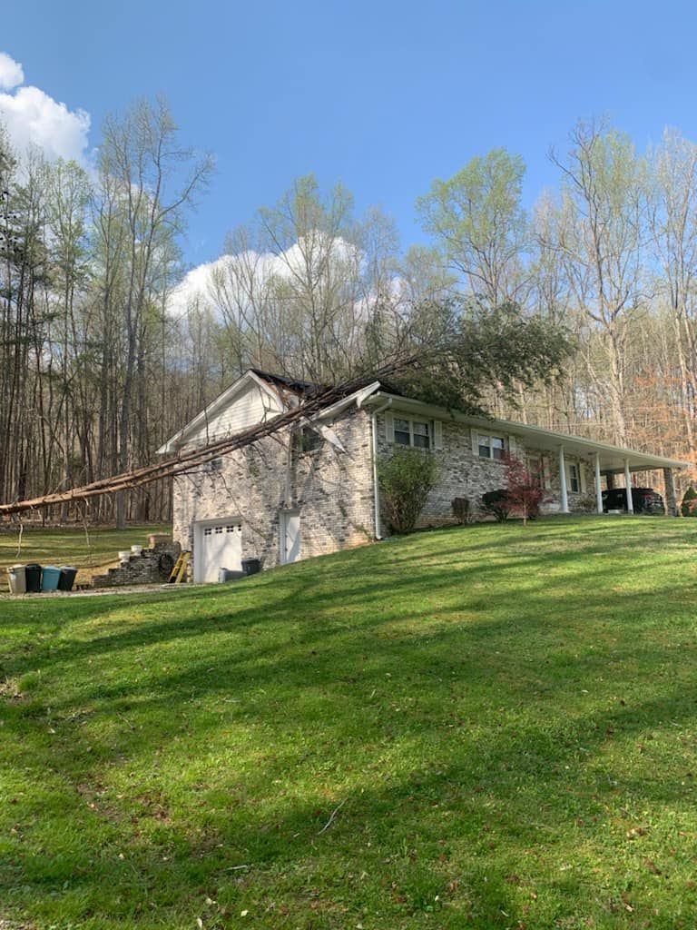 a house with a roof that has been damaged by a tree