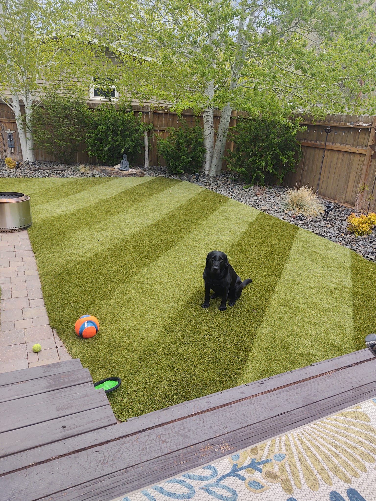 Black dog sits on green patterned artificial turf in backyard