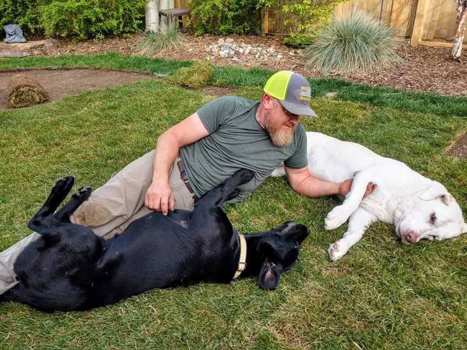 Man laying on grass, petting two dogs: black and white